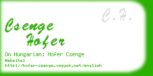 csenge hofer business card